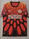 26-27 PSV Red Special Edition Fans Soccer Jersey