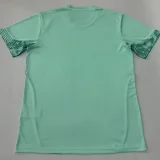 26-27 Palmeiras Light Green Goalkeeper Soccer Jersey