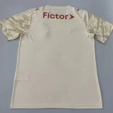 26-27 Palmeiras Earthy yellow Training shirts