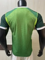 26-27 Nigeria Home Player Version Soccer Jersey