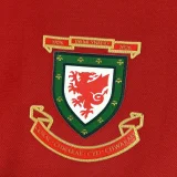 2026 Wales 150th Anniversary Long Sleeve Soccer Jersey (长袖)