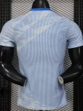 2026 USA World Cup Culture Promotion Blue Player Version Training shirts