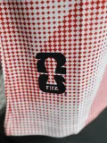 2026 Canada World Cup Culture Promotion Red Player Version Training shirts