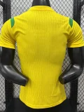 26-27 Brazil Yellow Special Edition Player Version Training shirts (绿飞人标