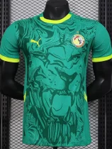 24-25 Senegal Away Player Version Soccer Jersey