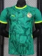 24-25 Senegal Away Player Version Soccer Jersey