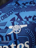 25-26 ARS Blue Special Edition Player Version Training shirts (涂鸦蓝)