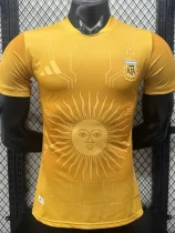 26-27 Argentina Golden Special Edition Player Version Training shirt