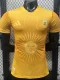 26-27 Argentina Golden Special Edition Player Version Training shirt