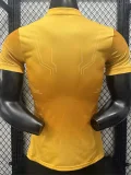 26-27 Argentina Golden Special Edition Player Version Training shirt