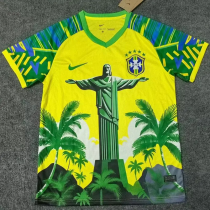 25-26 Brazil Yellow Green Special Edition Training shirts 1:1 Thai Quality(黄袖口)