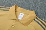 25-26 Argentina High Quality Polo Tracksuit