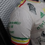 25-26 Aja× Grey Special Edition Player Version Soccer Jersey