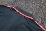 25-26 Bayern High Quality Polo Tracksuit