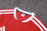 2026 AD Red High Quality Player Version Training Short Suit (球员套装)