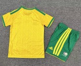 2026  South Africa Home Kids Soccer Jersey