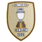 CAMPEON 2021(美洲杯冠军胸前杯)