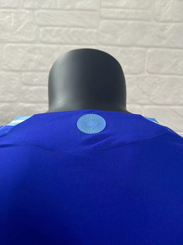 24-25 Argentina Away Long Sleeve Player Version Soccer Jersey (长袖球员)