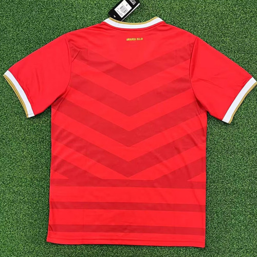 24-25 Panama Red Limited Edition Fans Soccer Jersey