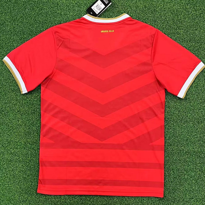 24-25 Panama Red Limited Edition Fans Soccer Jersey