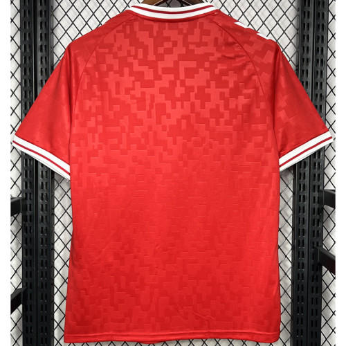 24-25 Denmark Home Fans Soccer Jersey 胶标