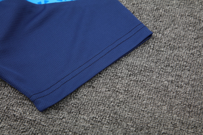 24-25 Palmeiras Lake blue Training Short Suit