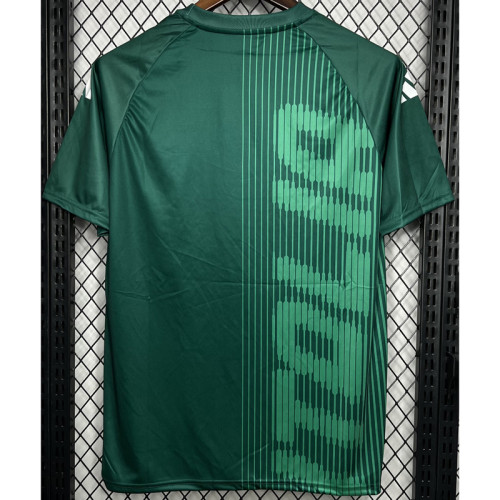24-25 Italy Green Training shirts