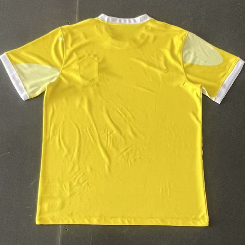 24-25 Brazil Special Edition Training Soccer Jersey *城市版