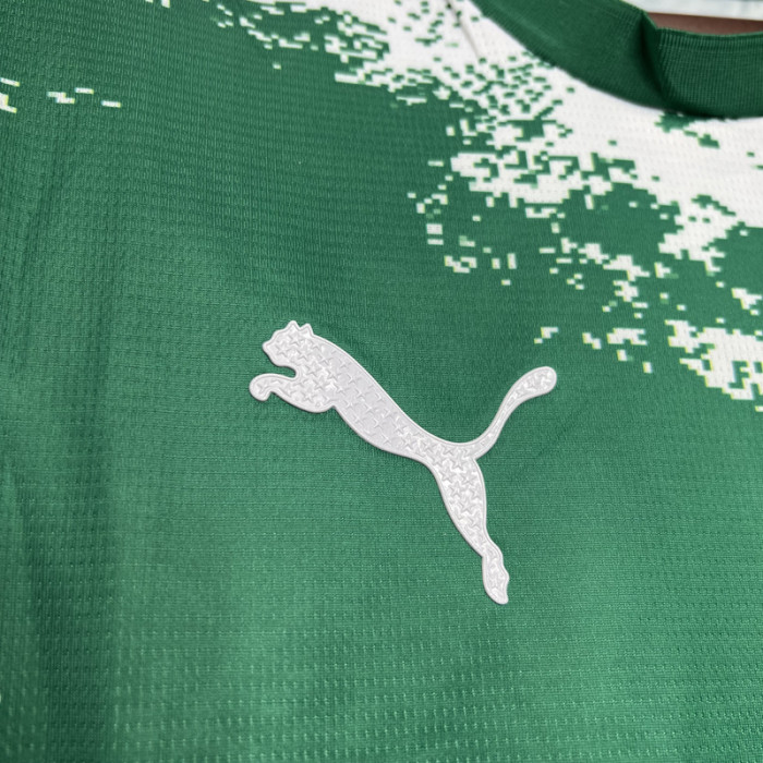 24-25 Palmeiras Green Special Edition Training shirts