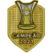 CAMPEAO 2021 巴甲冠军胸前杯