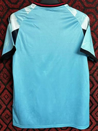 2024 Japan Blue Special Edition Fans Soccer Jersey *山水蓝