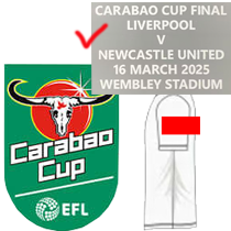 24-25 Newcastle Home Player Version Soccer Jersey