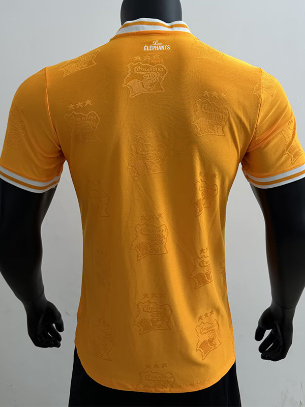 24-25 Ivory Coast Orange Special Edition Player Version Training Shirts