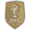 World Champions 2018 世界杯胸前金盾