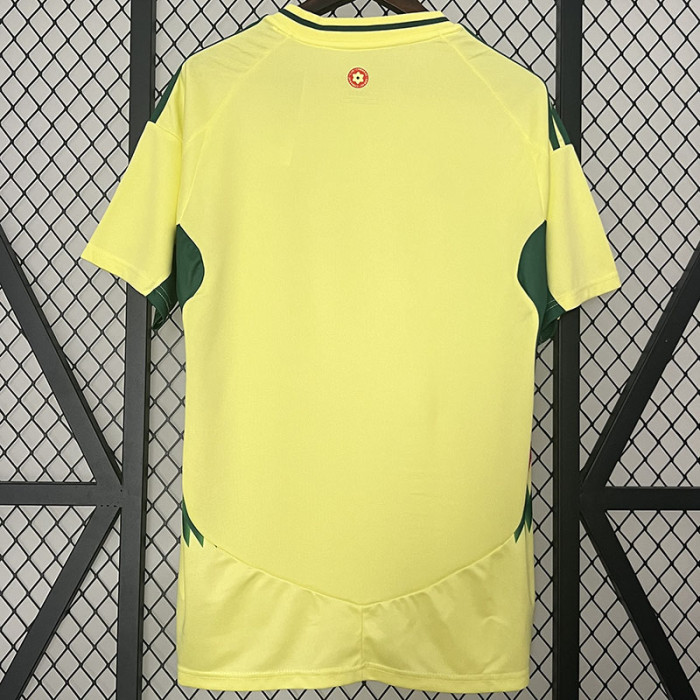 24-25 Wales Away Fans Soccer Jersey