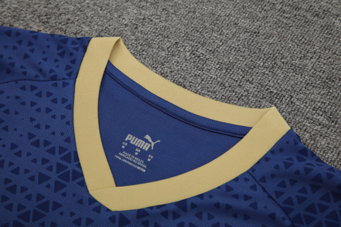 24-25 Palmeiras Royal blue Training Short Suit