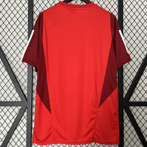 24-25 Internacional Red Training shirts