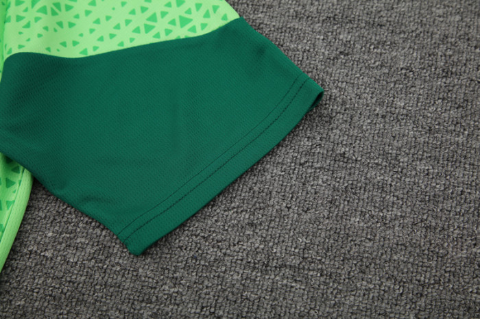 24-25 Palmeiras Light green Training Short Suit