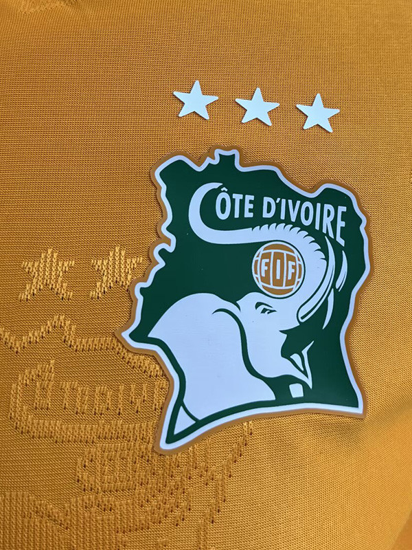 24-25 Ivory Coast Orange Special Edition Player Version Training Shirts