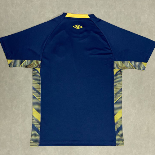 25-26 Gremio Royal blue Goalkeeper Soccer Jersey