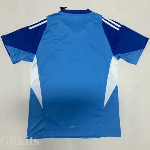 2025-26 JUV Blue Goalkeeper Soccer Jersey