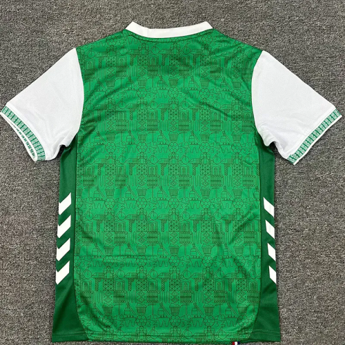 2025-26 Saint Etienne Home Fans Soccer Jersey