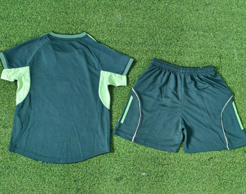 25-26 Algeria Green Special Edition Kids Player Version Soccer Jersey(球员童装)