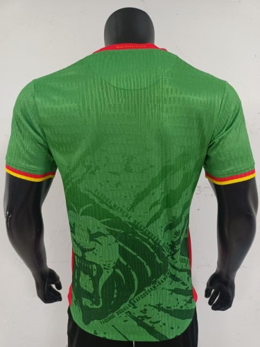 2026 Cameroon home jersey