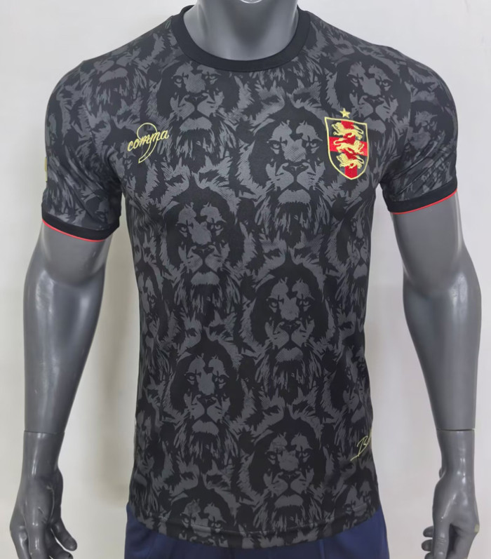 24-25 England Comma Special Edition Fans Soccer Jersey