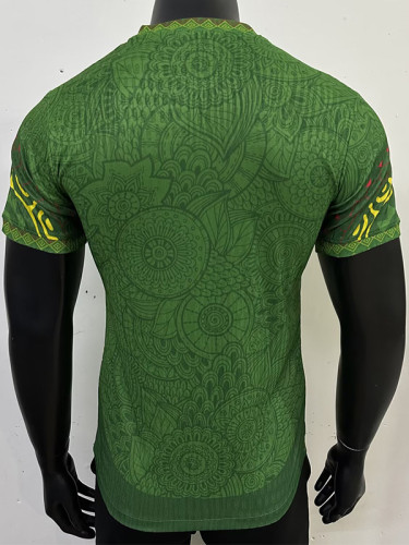 2025-26 Mali Green Player Version Soccer Jersey