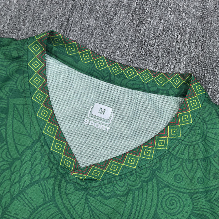 2025-26 Mali Green Fans Soccer Jersey