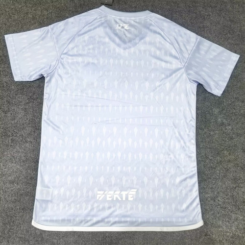 2024-25 Algeria Grey Special Edition Fans Trainingshirts