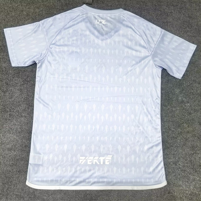 2024-25 Algeria Grey Special Edition Fans Trainingshirts
