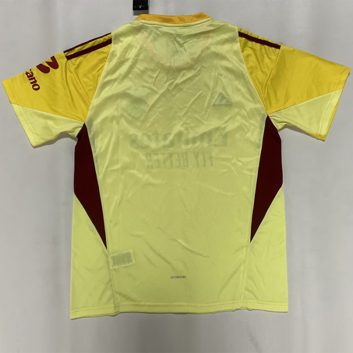 2025-26 Benfca Yellow GoalKeeper Soccer Jersey